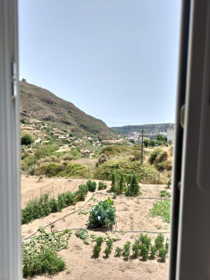 Casa Azul Mountain Retreat Apartment Vega de San Mateo Luaran gambar